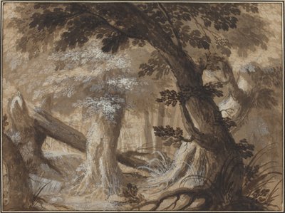 Lesní interiér od Flemish 17th Century