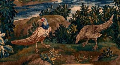 Vlámský gobelín. Tzv. Verdure (Krajina s vodou, stromy a bažanty). Ateliér Oudenaarde. Rozměr 277 x 200 cm. Inv 00012. 17. stol. od Flemish School