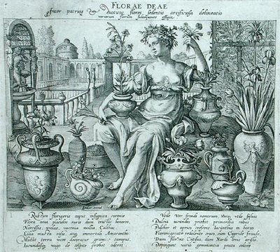 Flora (gravírování) od Flemish School