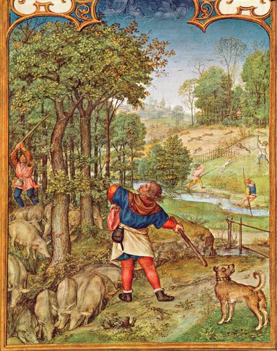 Fol.11v Měsíc listopad: sběr žaludů pro prasata a lov, z Breviarium Grimani, asi 1515 od Flemish School