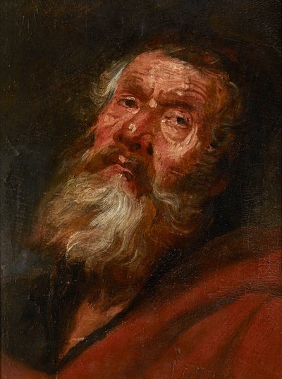 Náčrt hlavy apoštola (olej na papíře položeném na plátno, položený na dubovém panelu) od Flemish School