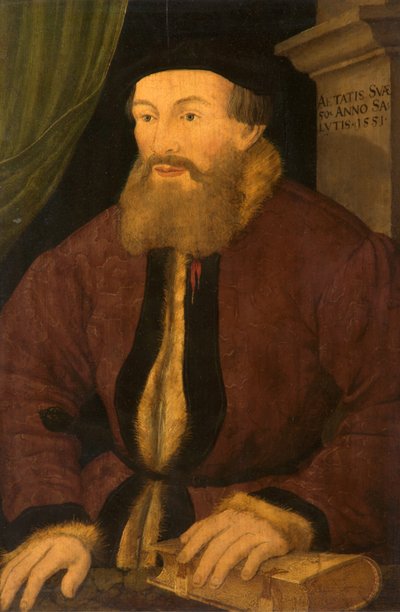 Portrét muže, 1551 od Flemish School