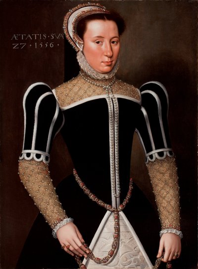 Portrét ženy, 1556 od Flemish School