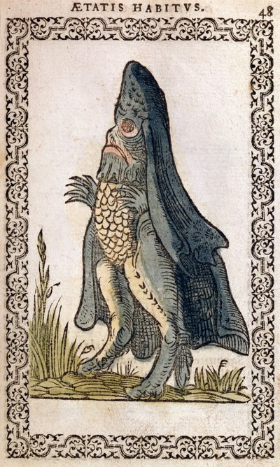 Mořský biskup nebo mořská příšera, ilustrace z knihy Zvyky a portréty téměř všech národů a současných národů od Jeana Sluperjiho, Antverpy, 1572 (barevný dřevoryt) od Flemish School