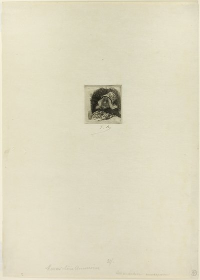 Vlámský zahradník od Félicien Rops