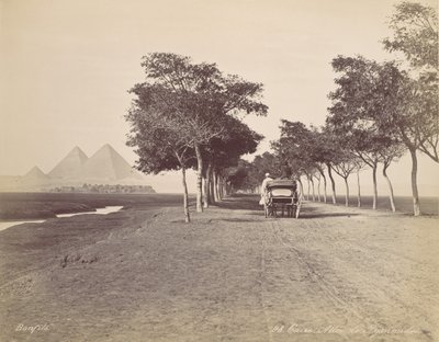 Káhira. Alej pyramid, ca. 1870. od Félix Bonfils
