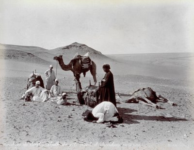 Egyptští velbloudi během pauzy v poušti. V popředí se zdá, že se dva členové malé skupinky modlí od Félix Bonfils