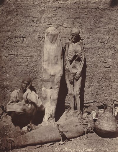 Momies Egyptiennes Egyptské mumie, c. 1870. od Félix Bonfils