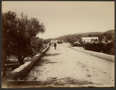 Palestina - Kolonick, Terebinth Valley od Félix Bonfils
