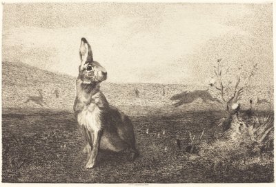 Zajíc od Félix Bracquemond after Albert de Balleroy