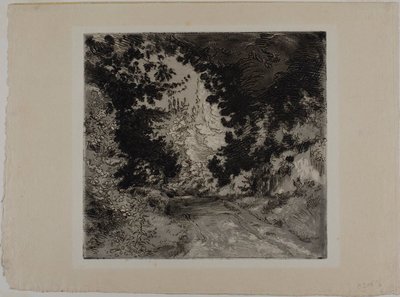 Chemin de Coutures v Sèvres od Félix Henri Bracquemond
