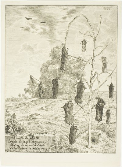 Krtci od Félix Henri Bracquemond