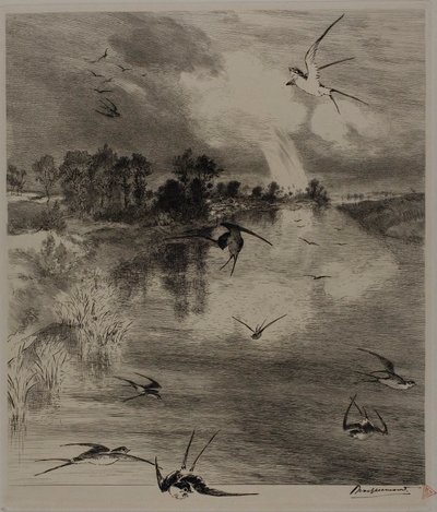 Vlaštovky od Félix Henri Bracquemond