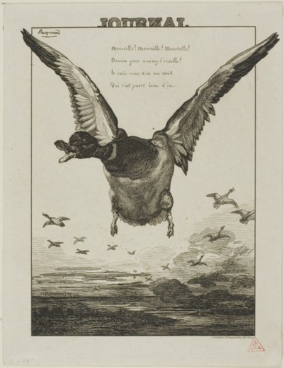 Kachna od Félix Henri Bracquemond