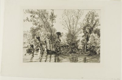 Vrby v Mottiaux od Félix Henri Bracquemond