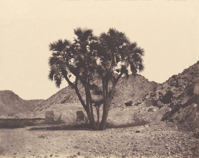 Egypt a Núbie. Místa a památky ... Fotograf Atlas ... Část druhá. Lehký šátek na hlavu od Félix Teynard