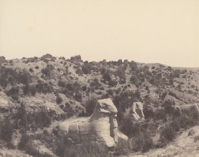 Karnak Théby, Sfinga s lidskou hlavou a Ramovou hlavou, v Y, 1851-52, tištěno 1853-54. od Félix Teynard