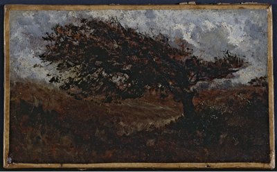 Le coup de vent, mezi lety 1850 a 1860 (olej na papíře na plátně) od Félix Ziem