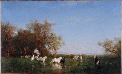 Divocí koně v Camargue, 1890-1895 (olej na plátně) od Félix Ziem