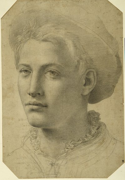 Portrét hlavy mladíka v čepici, cca 1530-40 (černá křída na bílém papíře) od Florentine School