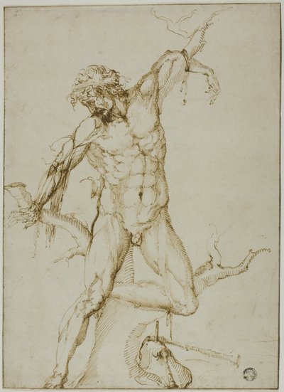 Marsyas přivázaný ke stromu od Follower of Baccio Bandinelli