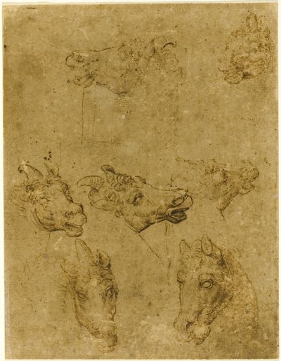 Hlavy koní a jednorožců od Follower of Leonardo da Vinci
