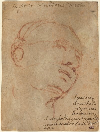 Hlava muže od Follower of Michelangelo
