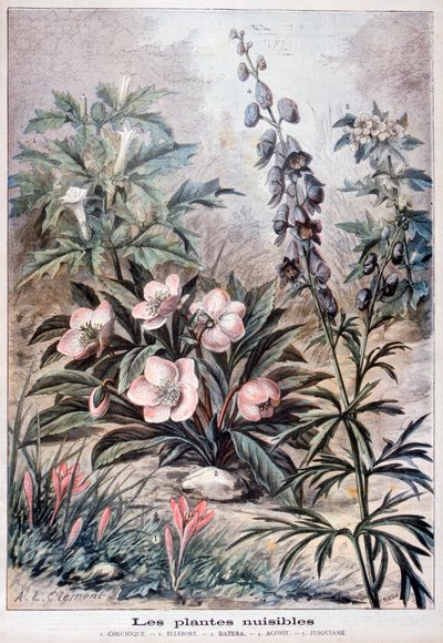Škodlivé rostliny, 1897 od Fortuné Méaulle