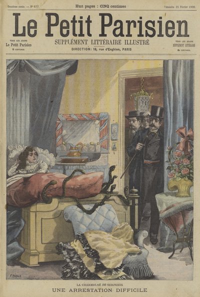 Obtížné zatčení zaklínače hadů od Fortune Louis Meaulle