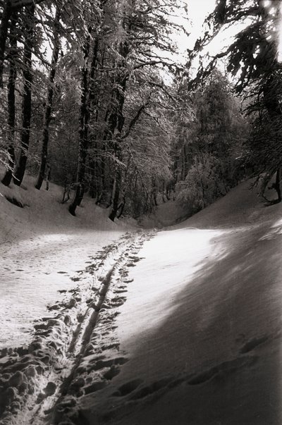 Ticho a tajemství od Fosco Maraini