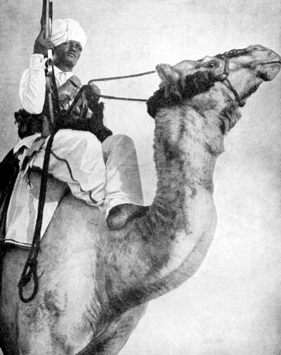 Pouštní válečník Afriky, 1936. od Fox Photos