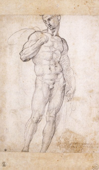 Akt držící plášť přes ramena, od Fra Bartolomeo