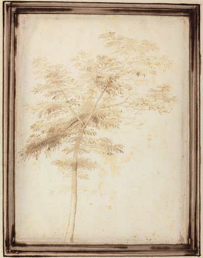 Studie stromu od Fra Bartolomeo