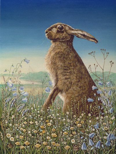 Zajíc, 1984 (olej a tempera na panelu) od Frances Broomfield