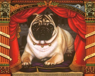 Nabokovs Pug, 2006 (olej a tempera na panelu) od Frances Broomfield