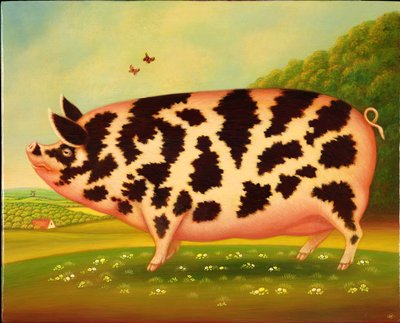Old Spot Pig, 1998 (olej a tempera na panelu) od Frances Broomfield