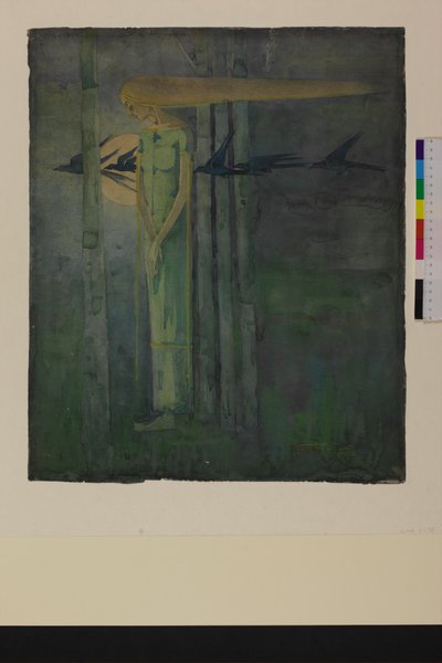 „Ill Omen“ nebo „Dívka ve východním větru s havrany procházejícími kolem Měsíce“ 1893 od Frances Macdonald