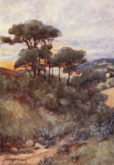 Stone Pines, Alžír (barevná litografie) od Frances Nesbitt