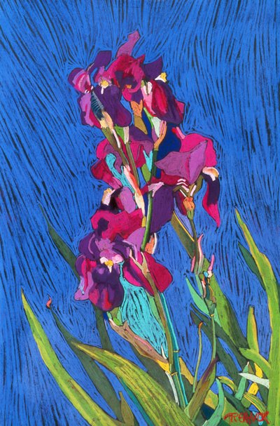 Kosatce od Frances Treanor