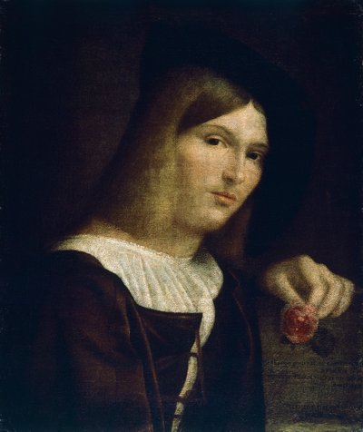 Portrét mladého muže s růží od Francesco Torbido