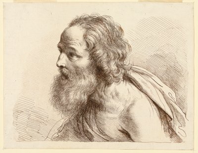 Portrait of an Old Man with a Beard, with Naked Shoulders   1236624   cs       czech Successfully Translated  Original: Hagar in de woestijn Translat: Hagar in de woestijn 1375529 cs czech Successfully Translated Original: Henri-Auguste, Comte de Brienne T od Francesco Bartolozzi