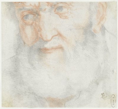 Hlava starého muže s plnovousem od Francesco Furini (attributed to)
