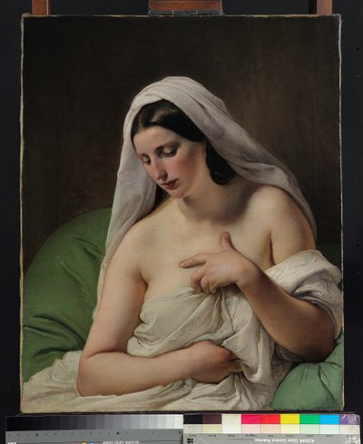 Odaliska od Francesco Hayez