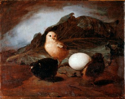 Kuřátka (chicks) Malba Francesca Inganniho (1793-1873) 1862 Rozměr 25,6x33,2 cm Genes, Galleria d