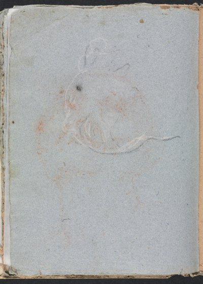 Verona Sketchbook: Head (strana 30) od Francesco Lorenzi