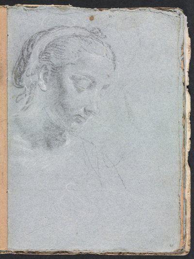 Verona Sketchbook: Hlava a ramena ženy (strana 61) od Francesco Lorenzi