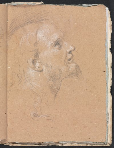 Verona Sketchbook: Mužská hlava v profilu (strana 91) od Francesco Lorenzi