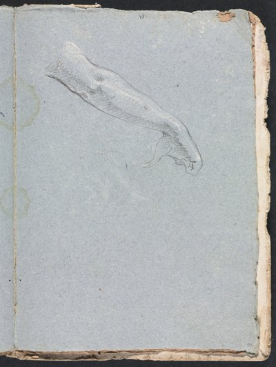 Verona Sketchbook: Pravá paže a ruka strana 95, 1760. od Francesco Lorenzi