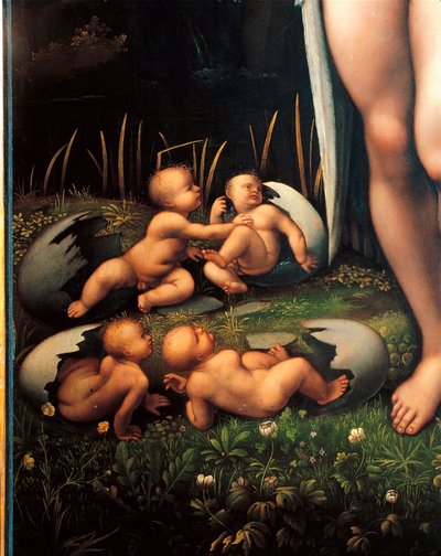 Léda a labuť (detail) od Francesco Melzi or Melzo