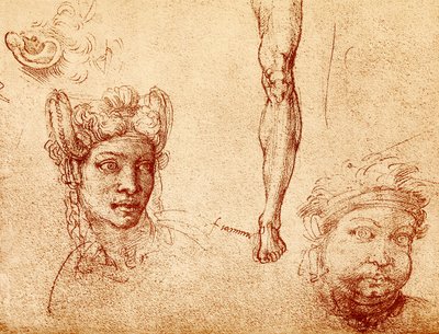 Studie hlavy a nohou od Francesco Ubertini Bacchiacca